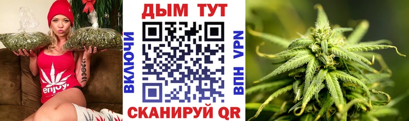 Бошки марихуана марихуана  где продают   даркнет состав  Слюдянка 